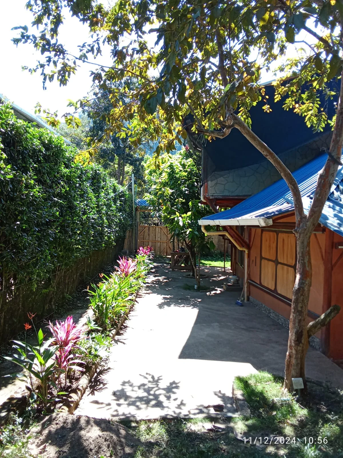 Terrace beside Casa Canela