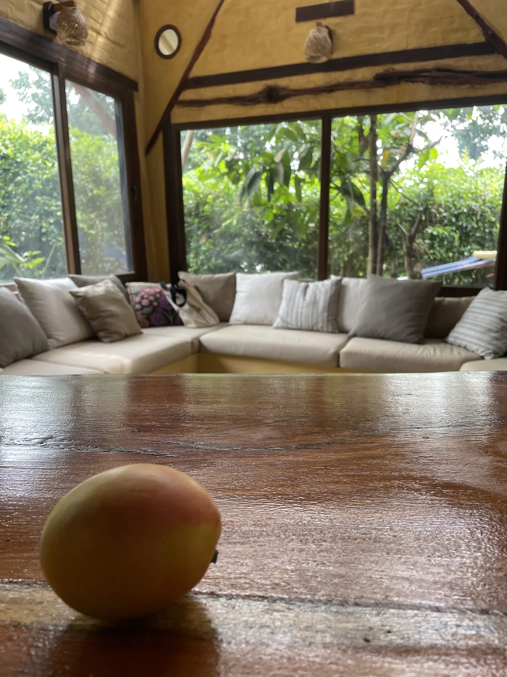 Mango on the Casa Canela table
