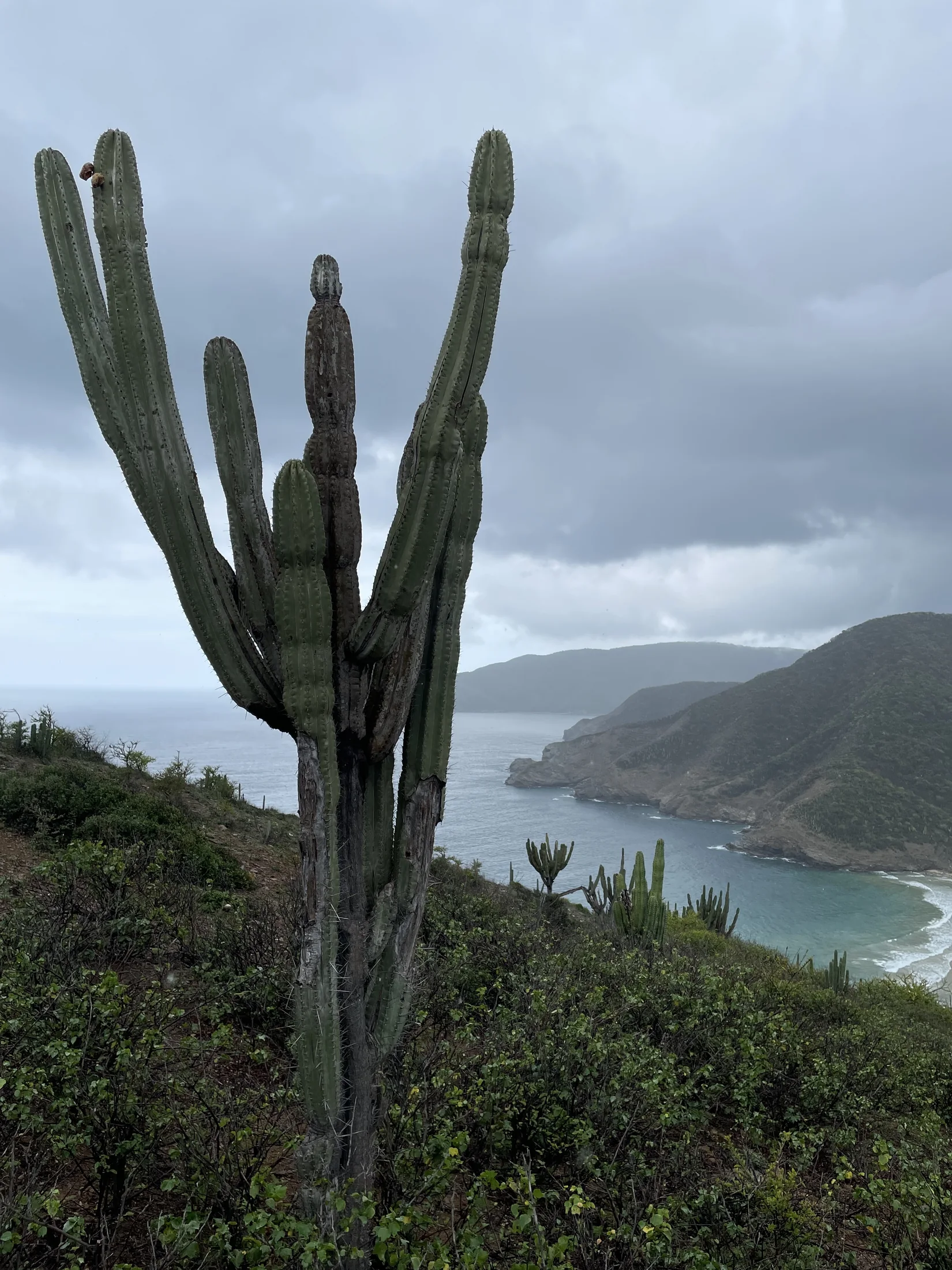 View across the Caribbean coast and mountains near Santa Marta